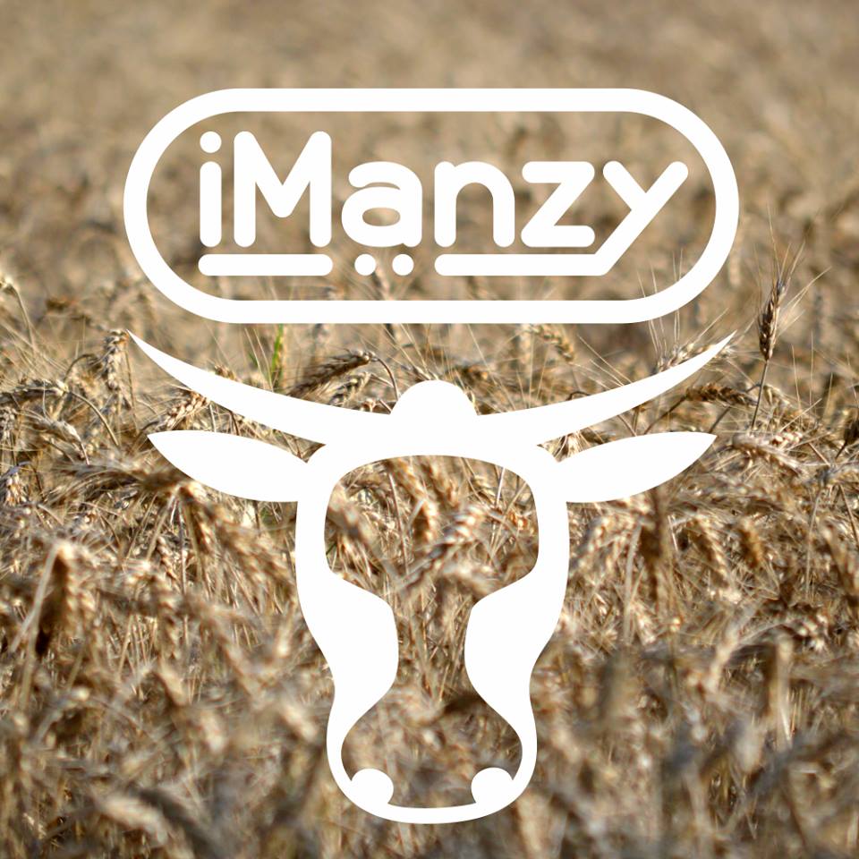 IMANZY