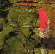 MEATHEAD - DICK SMOKER